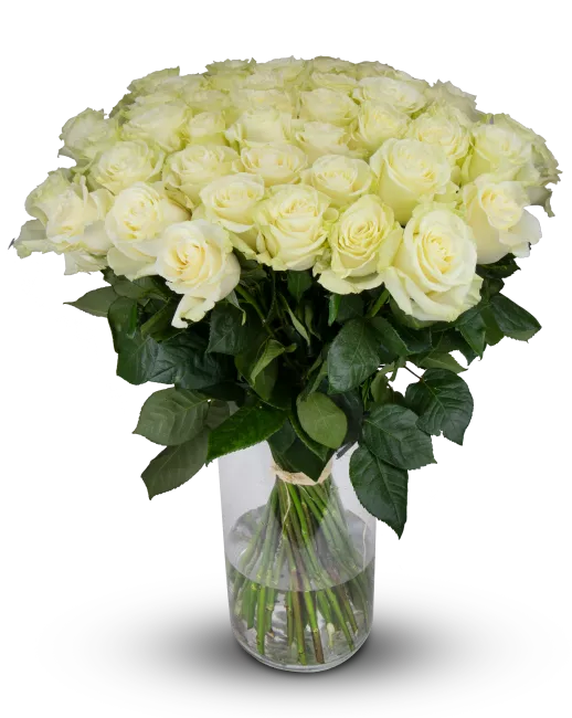 bouquet of Ecuadorian roses 80cm